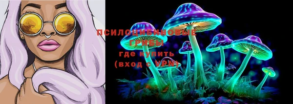 каннабис Новокубанск