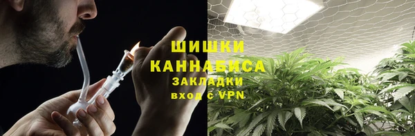 mdma Бородино