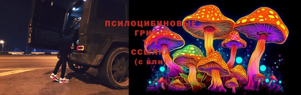 марки lsd Новозыбков