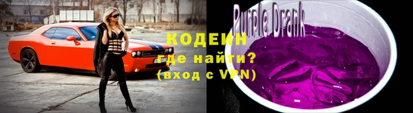 ECSTASY Болотное