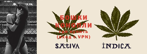 бошки Новодвинск