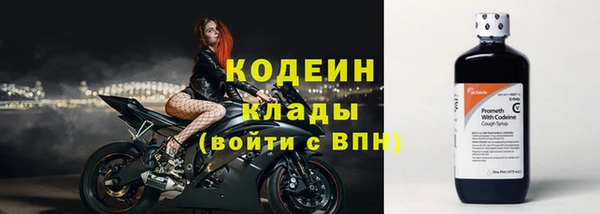 бошки Новодвинск