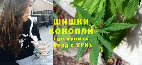 бошки Новодвинск