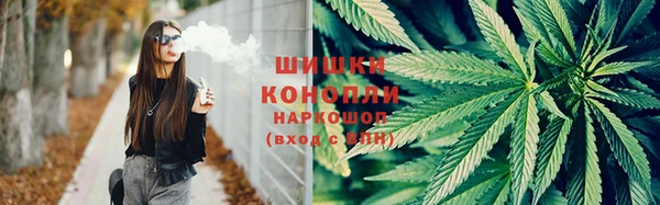 марки lsd Новозыбков