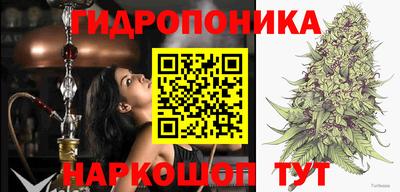 сатива Жуковский