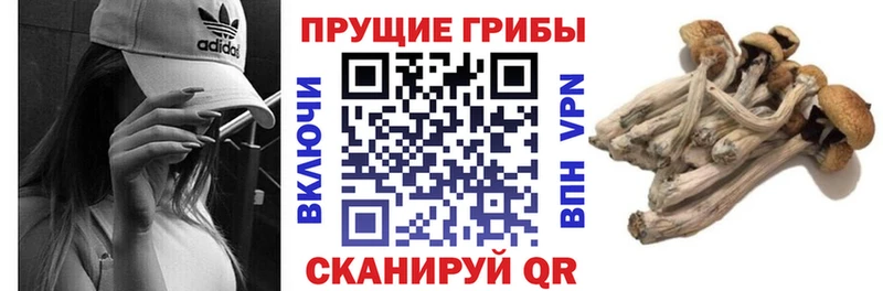 shop наркотические препараты  Мичуринск  Галлюциногенные грибы прущие грибы 