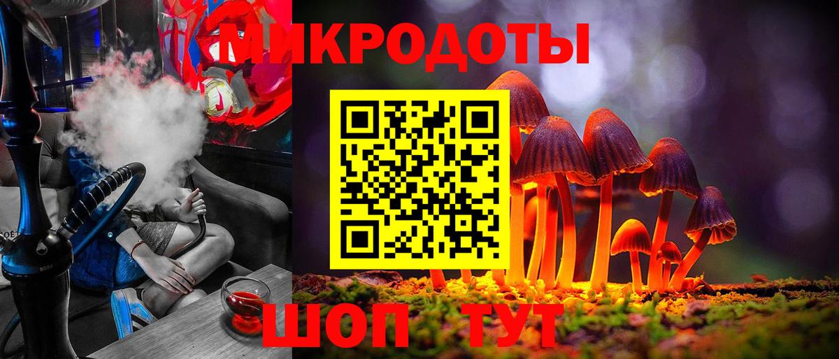 Галлюциногенные грибы Psilocybe Мичуринск